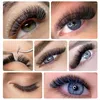 Falsche Wimpern 3D bis 16D, lose Fächer, dünn, schlank, spitze Basis, russische Wimpern, Promade, Volumen-Wimpernverlängerungen, Kunstnerz, vorgefertigt, Cila