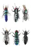 Sinek balıkçılık sinekleri set 12pcs sivrisinek evli gerçekçi böcek alabalığı için gerçekçi böcek cazibesi