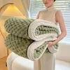 Dekens Winter Effen Kleur Pluche Deken Zacht Schildpad Fluwelen Warme Gooi Deken Comfortabel Flanel Fleece Dekens Voor Bed Dikker Quilt 231212