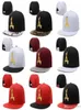Tha Alumni Iron Standard Women Men unisex A Letter Baseball Caps Snapback Caps Hip Pop Flat Hats Dad Trucker Casquette Gorras Para7701764