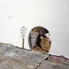 3pcs/set角の階段のための現実的なマウスホールウォールステッカー面白いかわいいマウスの家の装飾的な壁のデカール装飾的なステッカー