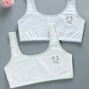 Camisoles Tanks Girls Bra for Childrenティーンエイジャーの通気性下着ランジェリー10代のトレーニング37jb