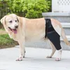 犬のアパレルペットの怪我固定膝パッドは猫ブレースレギンスセットプロテクターフィートカバーレッグラップドロップ2023