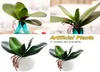 Couronnes de fleurs décoratives Real Touch Phalaenopsis feuille plante artificielle orchidée matériel auxiliaire décoration florale Fake1133401