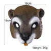 Halloween Easter Costume Party Mask Squirrel Face Masks Cosplay Masquerade for Adults Men & Women PU Masque HNA17012258w