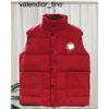 New Canadian Usa inverno outdoor Popolarità Mens piumini giacche di marca di moda di lusso Gilet da donna Designer Maschile Doudoune mens Vest