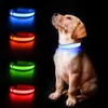 Dog Training Obedience MASBRILL Collar Luminous Pet Supplies Waterpoof Safety Collars dropship 231212
