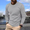 Herren-Poloshirts, Herbst- und Wintersport, Fitness, schlankes, atmungsaktives Herren-Langarm-T-Shirt, Europa und die Vereinigten Staaten, Herren-Fitness, O-Kragen, Shi 231212