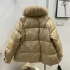 Men S Down Parkas 2023 Fashion Autumn Winter Real Mink Fur Coat Women Natural White Feather Jacket