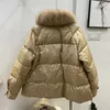 Heren Donsparka 2023 Mode Herfst Winter Echte Nertsen Bontjas Vrouwen Natuurlijke Witte Eendenveren Jas Luxe Bovenkleding Losse streetwear 231213