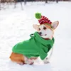 Hundkläder vinter hoodie varm mjuk petrock valp söt groda stil tröja för små medelstora hundar katter jacka chihuahua teddy dräkter