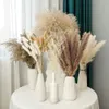 Dekorativa blommor kransar pampas gräs dekor boho hem bukett naturlig fluffig torkad för bröllop blommor arrangemang vägg bondgård tabell dec 231213