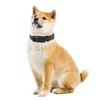 Dog Training Obedience EcoFriendly Super Soft PVC Collar Durable Pet Custom Waterproof Supplies Adjustable 231212