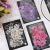 Presentförpackning 40st blommor växter klistermärken transparent vattentätt husdjursmaterial diy handgjorda brevpapper handbok handbok taggdekoration