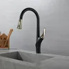 Robinets de cuisine robinet d'évier en laiton de luxe, conception de robinet d'eau froide extractible, poignée à un trou de haute qualité