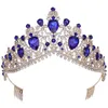 Pinces à cheveux couronne de mariée en cristal rouge avec peignes diadèmes de luxe en strass couvre-chef concours de fête d'anniversaire robe de mariée bijoux