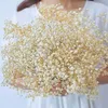 Decoratieve Bloemen Kransen Natuurlijke Verse Gedroogde Geconserveerde Gypsophila Paniculata Babys Adem Bloem Boeketten Cadeau Voor Bruiloft Decoratie Woondecoratie 231213