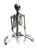 70 cm de esqueleto de Halloween Prop Hom Human Satrial Hand Life Anatomy Anatomy Model Decorhalloween Decoración de fiestas para el hogar Y09096767025