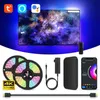 Ambient TV PC Backlight LED Strip Lights för HDMI -enheter USB RGB TAPE SCREE Color Sync LED Light Kit för Alexa Google TVS Box W178K