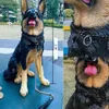 犬の訓練服従15mmストロングメタルチェーンカラーステンレススチールペットチョーク