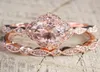 2 PCSSet Crystal Ring Jewelry Rose Gold Color Wedding Rings for Women Girls Gift Engagement Wedding Ring Set2447651