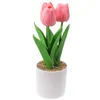 Decoratieve Bloemen Accessoires Kunstmatige Tulp Ingemaakte Bruiloft 1 Stuks 25x7.5CM Nep Planten Gift Home Party Decor Merk