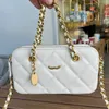 Clássico Zíper Mulheres Mini Carteira De Couro Acolchoado Matelassê Cadeia Crossbody Designer Bolsa Gold Hardware Evening Clutch Coin Purse Mala Sacoche Titular do Cartão 20 CM