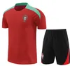 2024 Inglaterra TOONE camisetas de fútbol Angleterre 24 25 camiseta de fútbol KANE STERLING RASHFORD SANCHO BELLINGHAM GREALISH hombres kit para niños