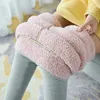 Kobiety gęstnieje gęste legginsy Lambwool Koreańskie zimowe swobodne, ciepłe spodnie ołówkowe plus aksamitne wysoką talię kostki do strota 231214