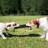 Hundträning bogserbåt hundbett stick interaktiv husdjur hund leksak bogsering båt bra för valpar och äldre hundar