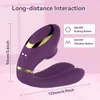 Sucking Double Shock Rod Remote Control Silicone Women's Masturbation Breast Clip Clitoral Massage Adult Sexual Products 231129