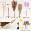 Flores decorativas 70 pcs buquê de flores secas pampas grama reed caudas rosa amarelo billy botão decoração