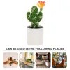 Fleurs décoratives Simulation Cactus faux bonsaï ornement dessin animé ornement artificiel bureau petite décoration d'empotage Mini Figurine