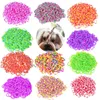 Vestuário para cães 200pcs Pet Grooming Rubber Band Acessórios Coloridos Suprimentos Elásticos Produto Hairpin Acessório