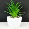 Dekorative Blumen, Mini-Sukkulenten-Bonsai, künstliche grüne Blattpflanze mit weißem Topf für Wohnzimmer-Dekoration, Simulation im Topf, Heimdekoration