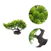 Dekorativa blommor Sashimi Dish Decoration Fake Tree Plate Favor Plant Sushi Decorations Plastic Pine Staty