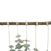 Fiori decorativi Pianta artificiale sospesa Simulazione Foglia di eucalipto Parete El Decorazione per la festa nuziale domestica per interni
