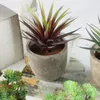 Decorative Flowers Artificial Bonsai Succulent Faux Potted Plant Desktop Fake Ornament