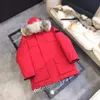 gilet gilet giacca da uomo piumino piumino da uomo parka invernale smanicato in cotone piumini di lusso giacche a vento coppie addensate calde parka personalizzate