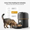 Dog Bowls Feeders 2L Automatic Pet Feeder Cat Food And Dog Food Dispenser Can Arrange 6 Meals a Day With Audio Tape Stainless Steel Bowl 231213