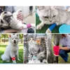 Vestuário para cães Bandagens para animais de estimação Dispositivos antiincrustantes Bandagem elástica autoadesiva fora dos pés Protetores de cabelo Tiras de pano grátis para gatos e cães