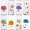 Decoratieve bloemen 12 stuks Geschenken Feestartikelen Woondecoratie Ware bloem Ammi Majus Handgemaakte plant Geperst gedroogd