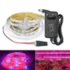 ストリップ屋内植物の光LEDストリップ成長ランプフィトランプテープ野菜花植物植物種子eu us plug270q