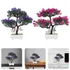 Fleurs décoratives 2 pièces Simulation bienvenue pin anniversaire décoration fille bonsaï arbre plastique bureau
