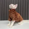 Costumes de chat Vêtements glabands pull à col roulé