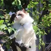 Cão vestuário ajustável gato suprimentos filhote de cachorro acessórios jóias pérola colar arco sino pet colar glitter bowknot