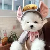 猫の衣装Chrisrmas Dog Pet Costumeパーカー温かいフリース服コートかわいいマウスコスプレアクセサリー