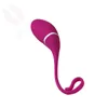 Vibrators Realov App-bediening Slimme vibrator Laadlijn Accessoires van seksspeeltjes USB-kabel Jump Egg Kegel Ball Machine Vagina Anale pluggen 231214