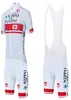 Japon blanc Vini Fantini Cycling Jersey 20D Shorts Mtb Maillot Bike Shirt Downhill Pro Mountain Bicycle Clothing Suit2976563