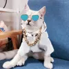 Köpek Giyim Kalp Şekimi Pet Kedi Güneş Gözlüğü Ins Style Gözlükler Köpek yavrusu Kitty Göz Giyim Kişilik Güzel Aksesuarlar